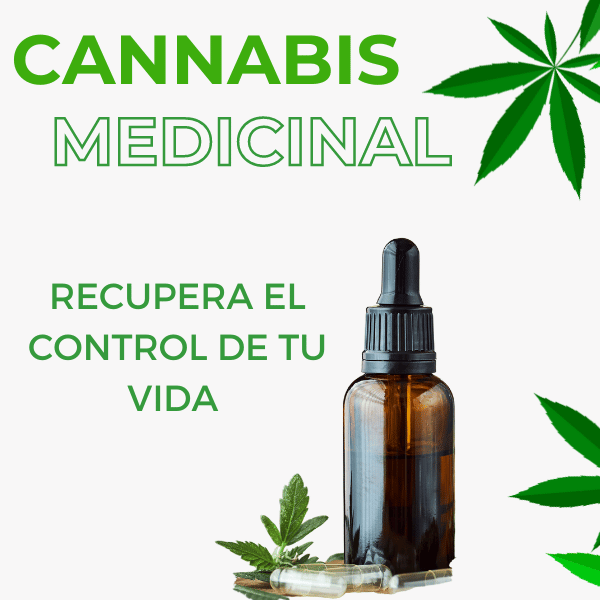 Cannabis medicinal quito dolor ansiedad.